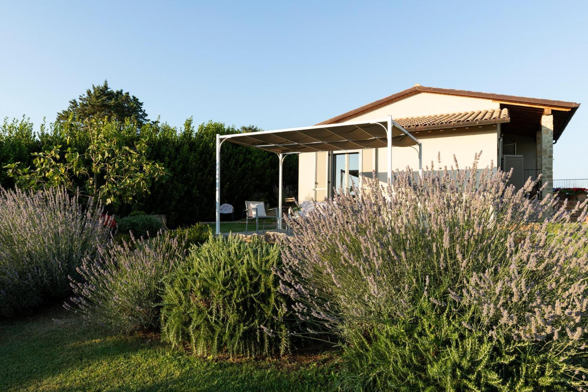 Nonno Gino Suite Monte San Savino Kültér fotó